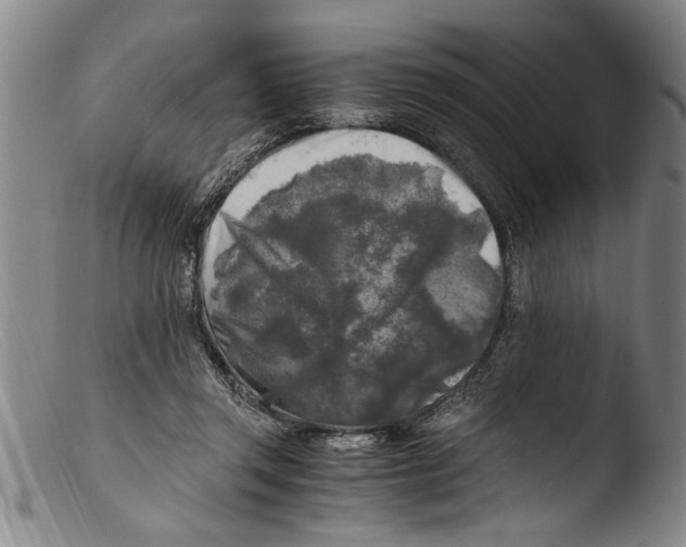 X0000103310357200809261342