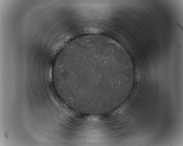 X0000103310358200809261342