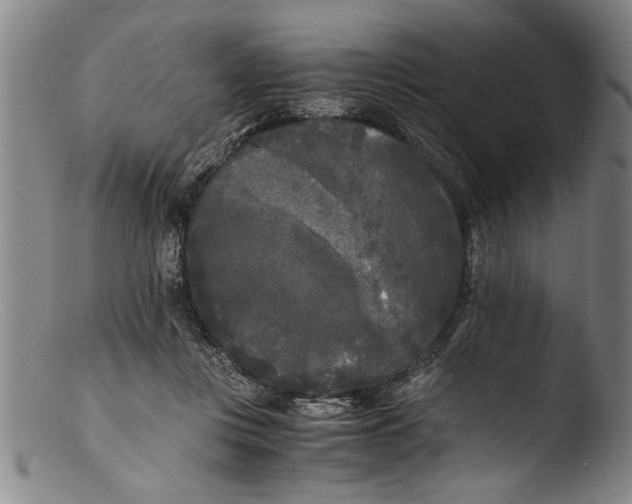 X0000103310359200809261342