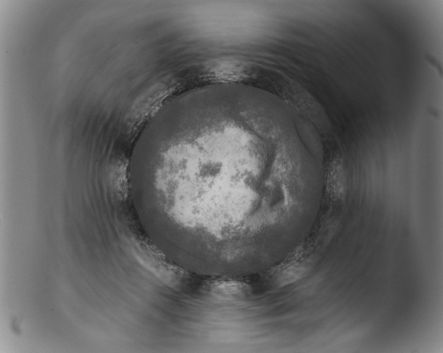 X0000103310360200809261342