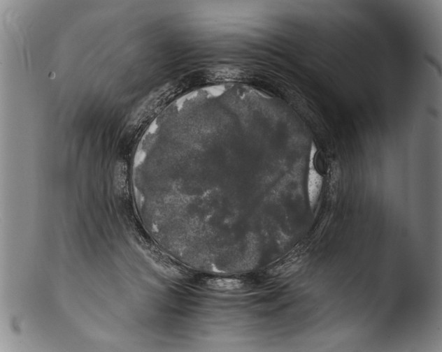 X0000103310361200809261342