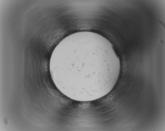 X0000103310362200809261342