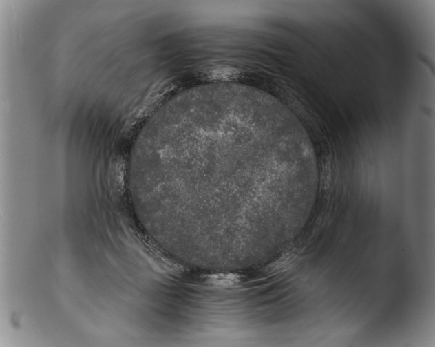 X0000103310363200809261342