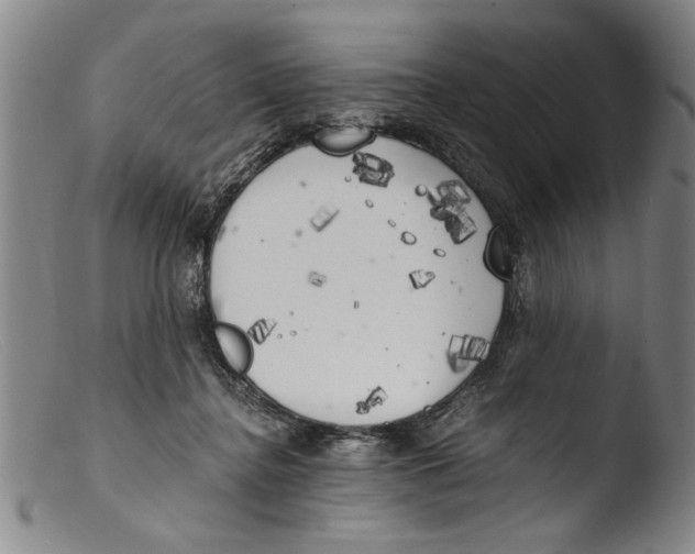X0000103310364200809261342