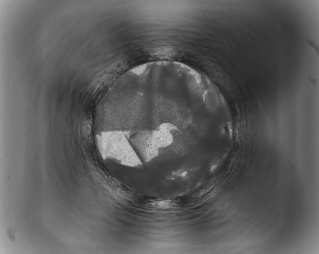 X0000103310365200809261342