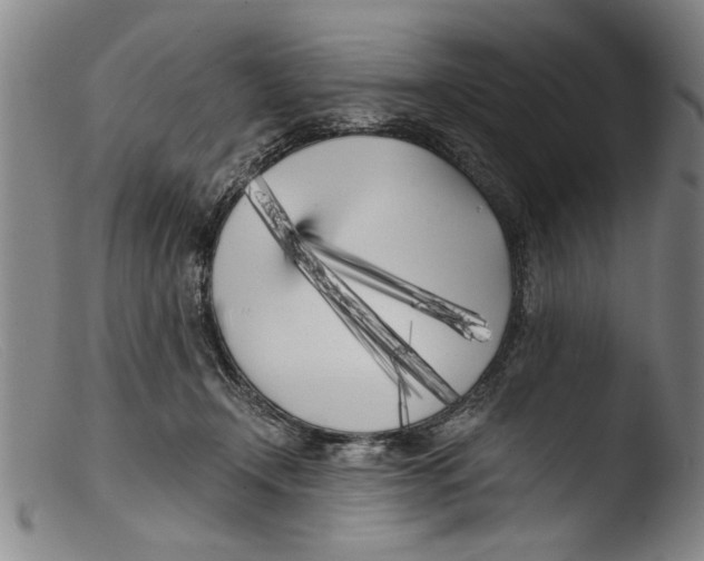 X0000103310366200809261342