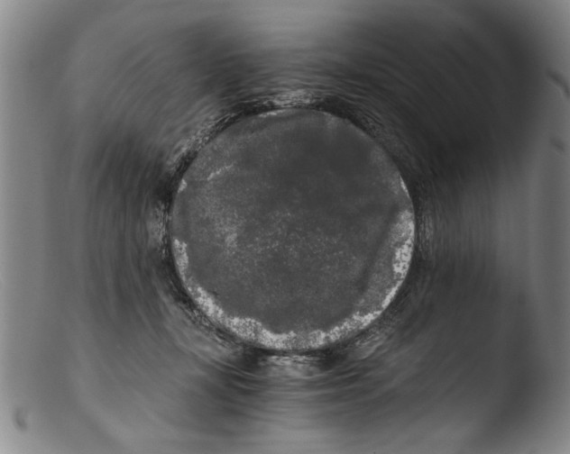 X0000103310367200809261342