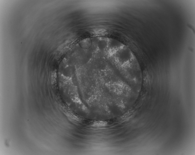 X0000103310369200809261342