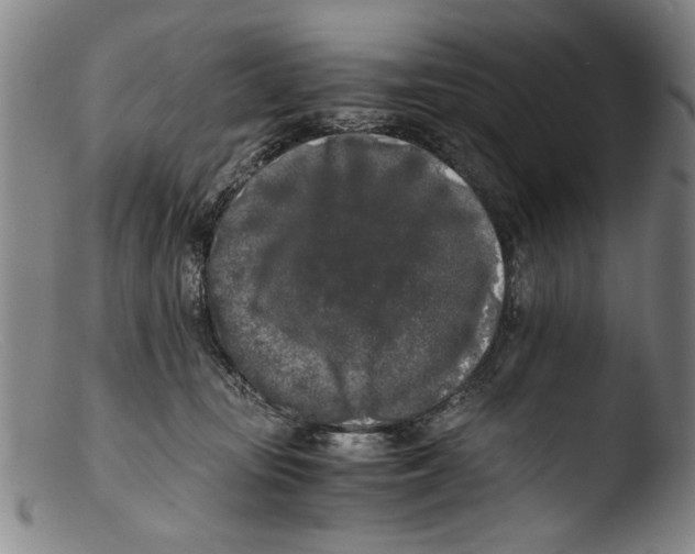 X0000103310371200809261342