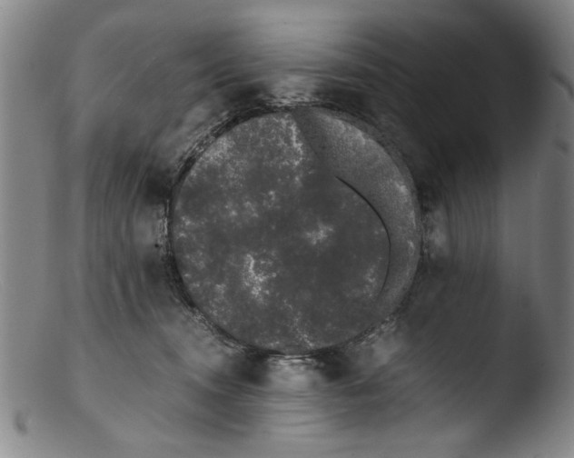 X0000103310372200809261342