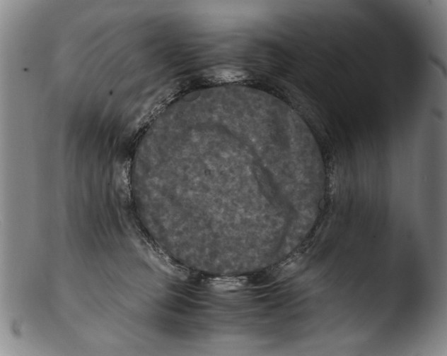 X0000103310373200809261342