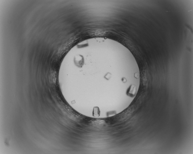 X0000103310374200809261342