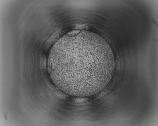 X0000103310375200809261342