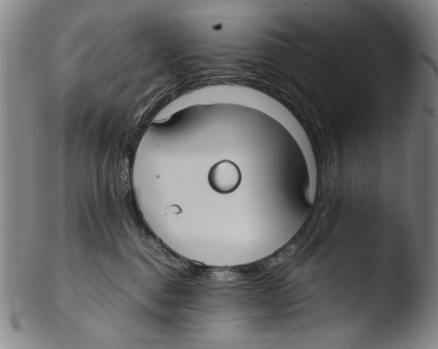 X0000103310376200809261342