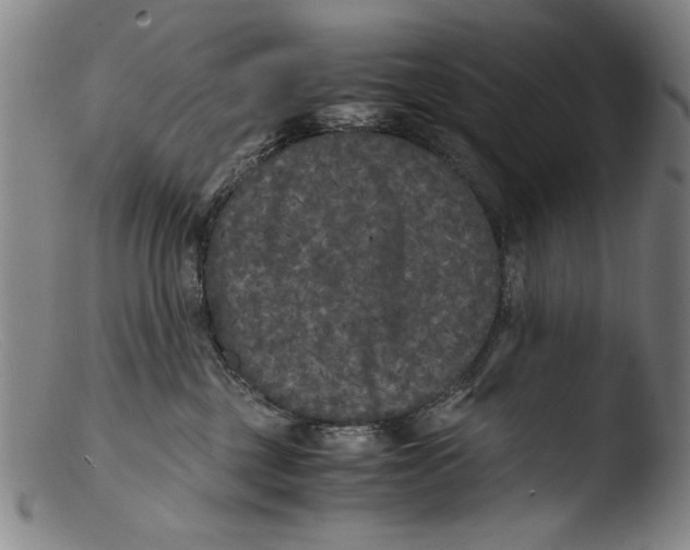 X0000103310377200809261342