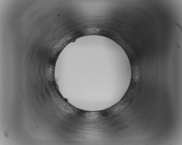 X0000103310378200809261342