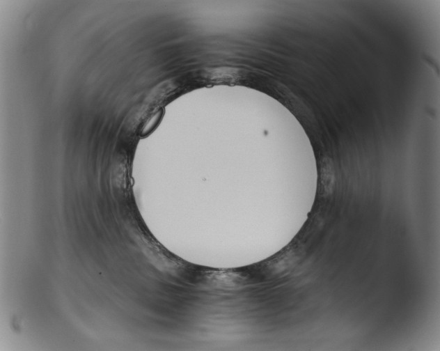 X0000103310379200809261342