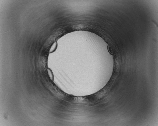 X0000103310380200809261342