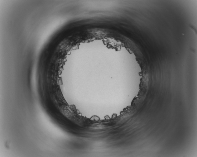 X0000103310381200809261342