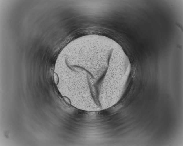 X0000103310382200809261342