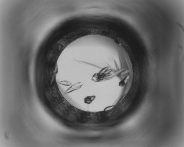 X0000103310383200809261342