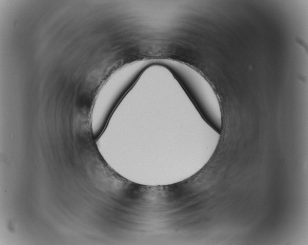 X0000103310384200809261342