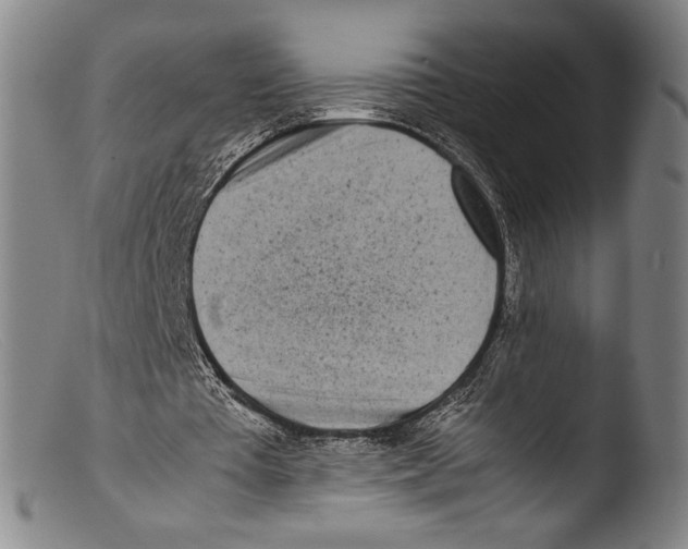 X0000103310385200809261342