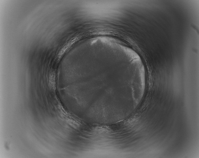 X0000103310386200809261342