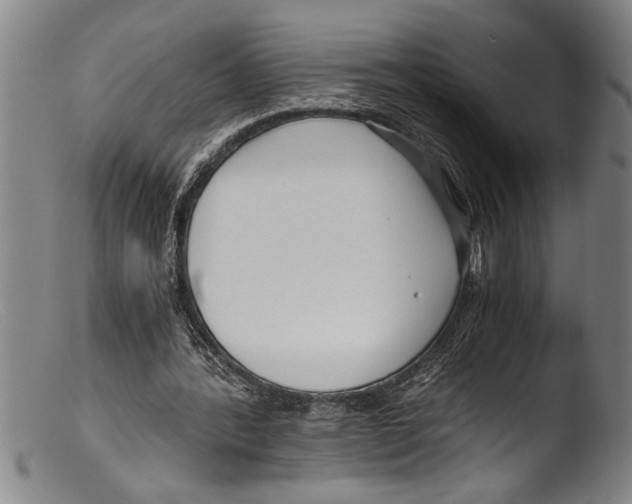 X0000103310388200809261341