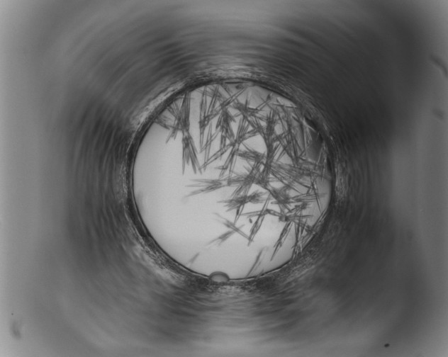 X0000103310390200809261341