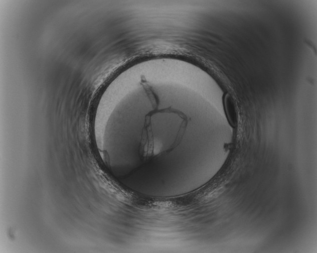 X0000103310391200809261341