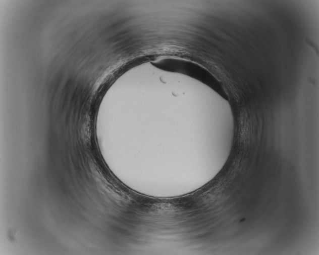 X0000103310392200809261341