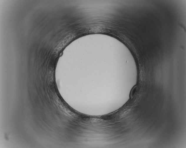 X0000103310393200809261341