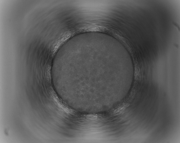 X0000103310394200809261341