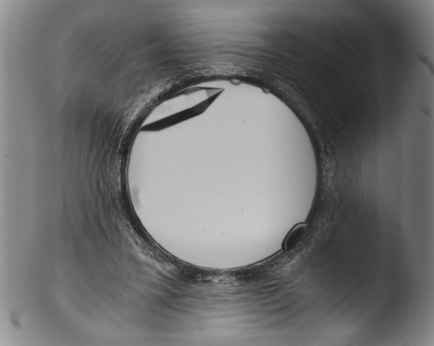 X0000103310395200809261341