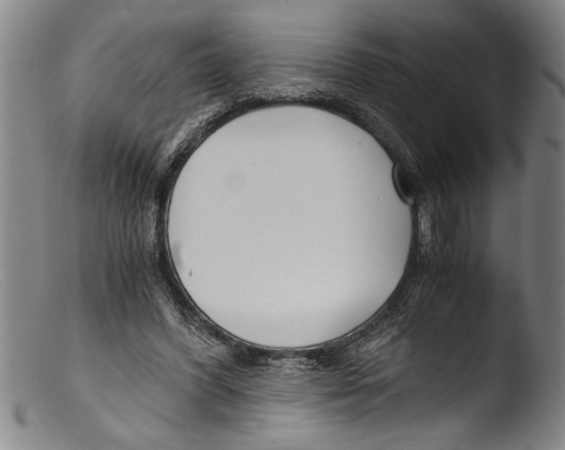 X0000103310396200809261341