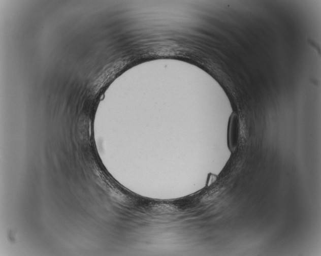 X0000103310397200809261341