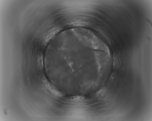 X0000103310398200809261341