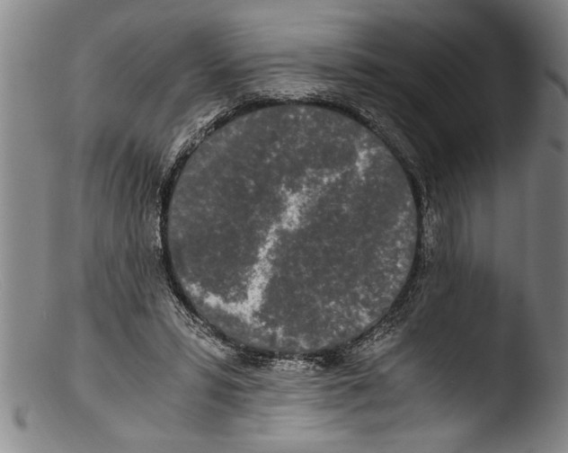 X0000103310399200809261341