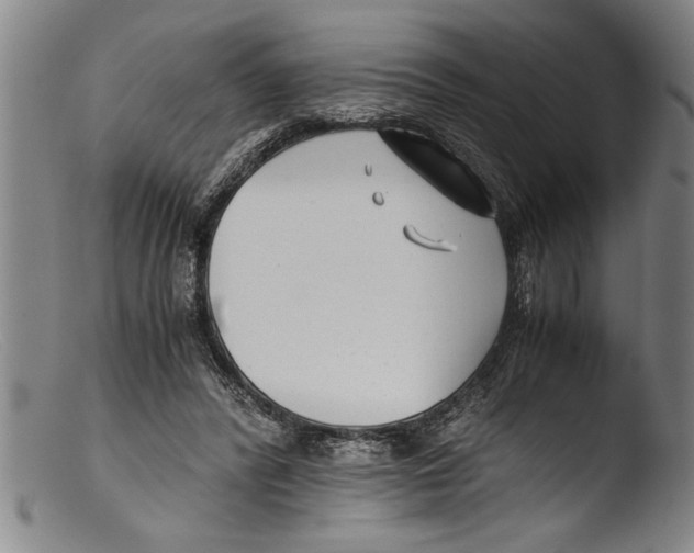 X0000103310400200809261341