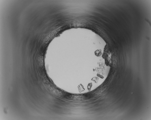 X0000103310401200809261341