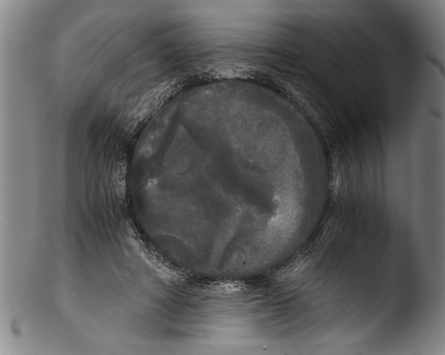 X0000103310402200809261341