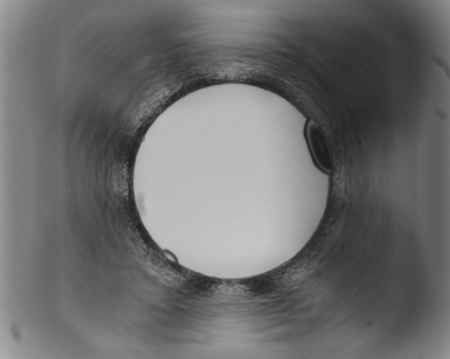 X0000103310403200809261341