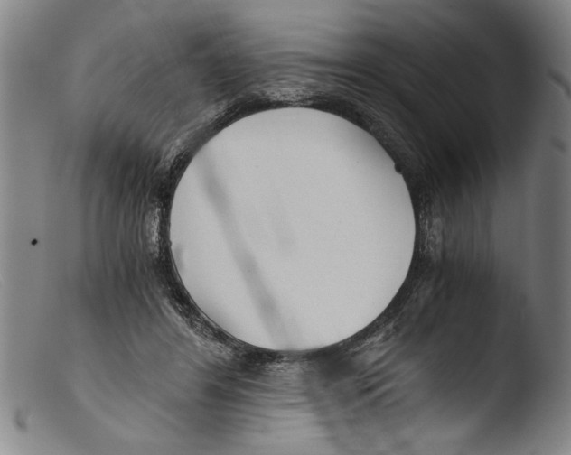 X0000103310404200809261341