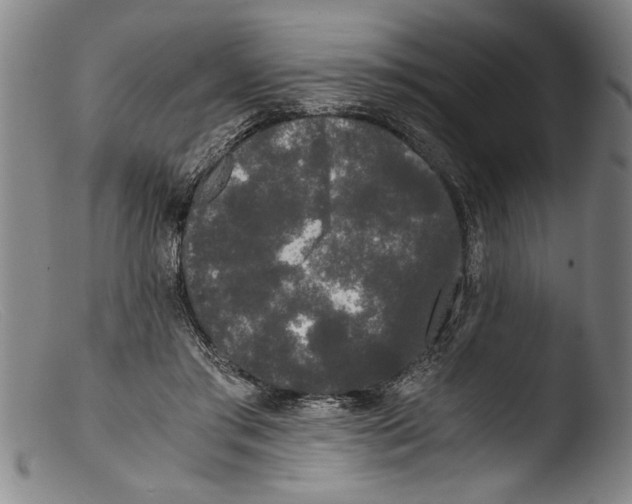 X0000103310405200809261341