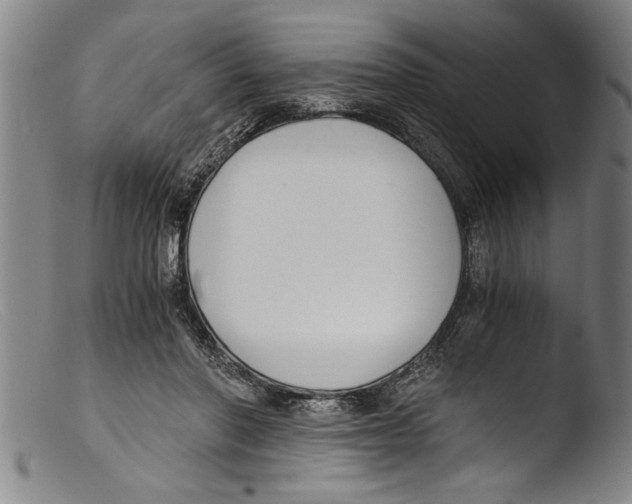 X0000103310406200809261341