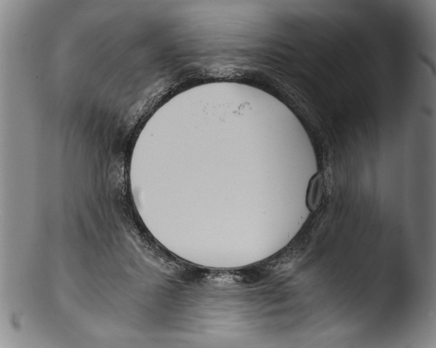 X0000103310407200809261341