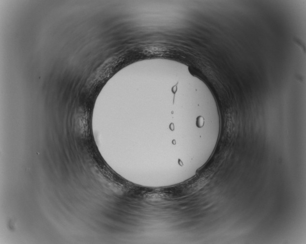 X0000103310408200809261341