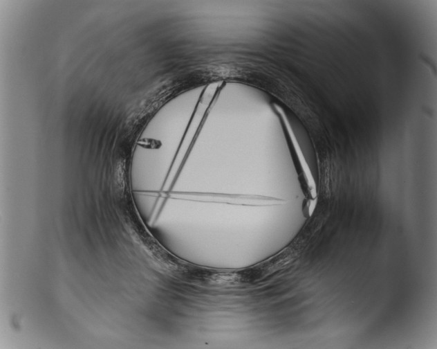 X0000103310410200809261341
