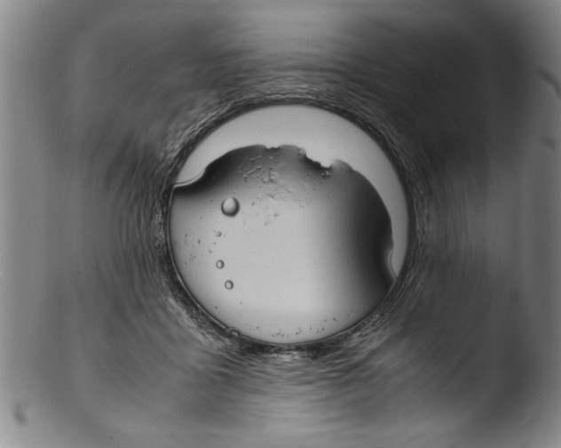 X0000103310411200809261341